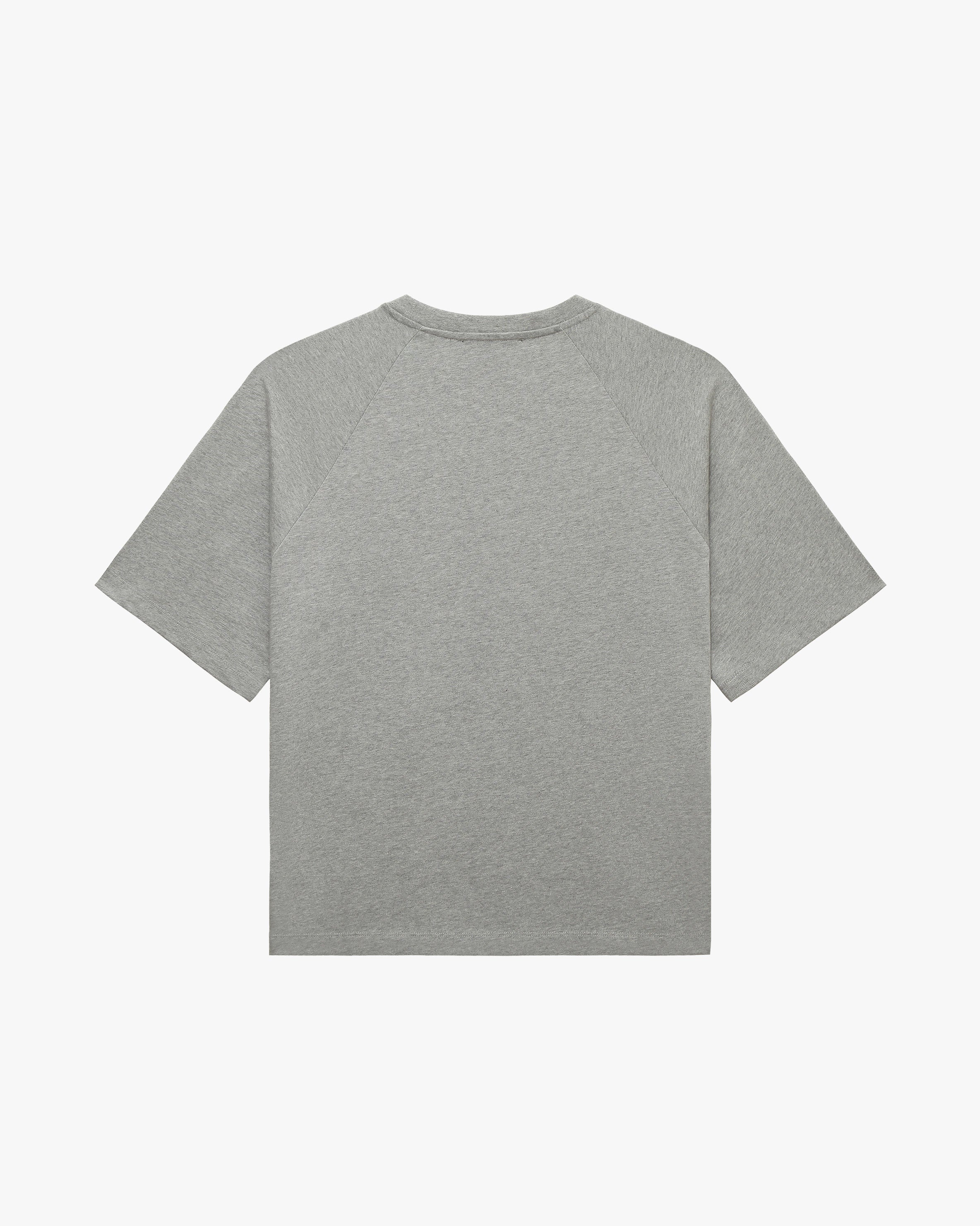 INSTITUTE TEE GREY MELANGE